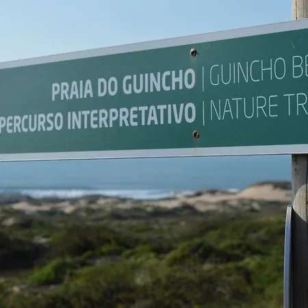 Charming Golf & Beach Villa Cascais